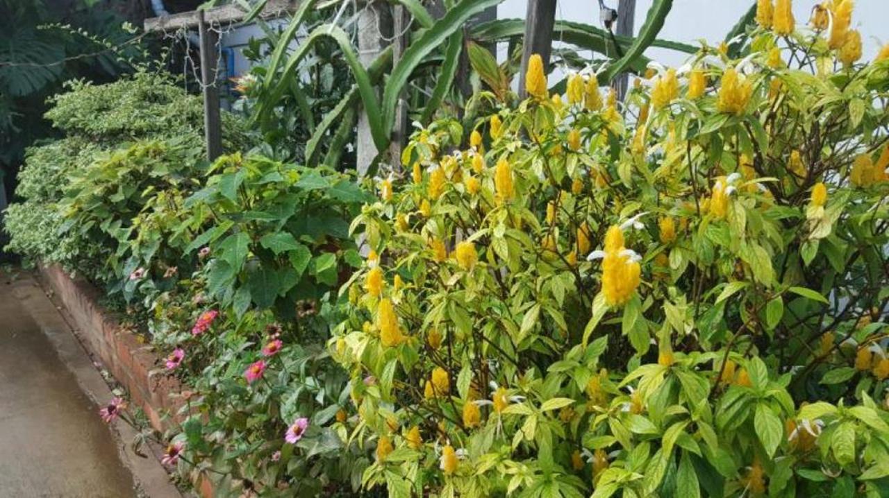 فندق مايميو سا كان تا بيين لوين المظهر الخارجي الصورة